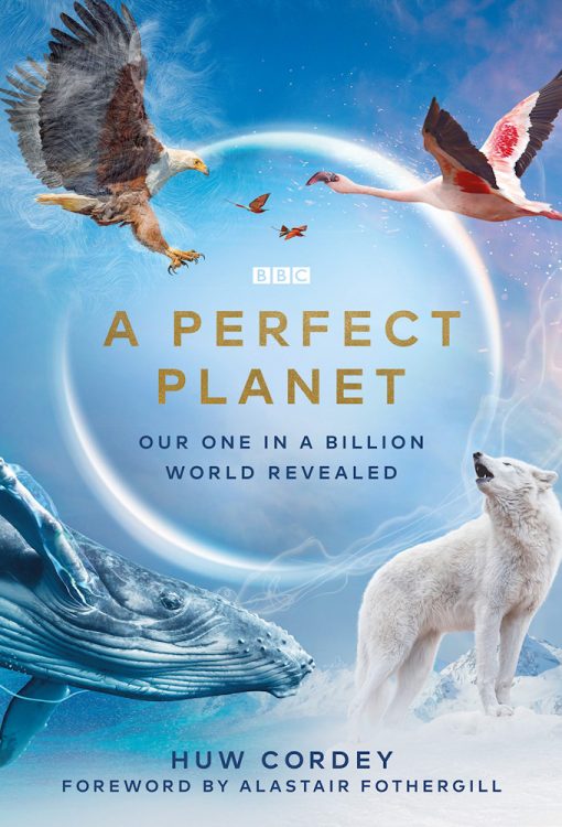 دانلود مستند سریالی A Perfect Planet با زیرنویس فارسی چسبیده