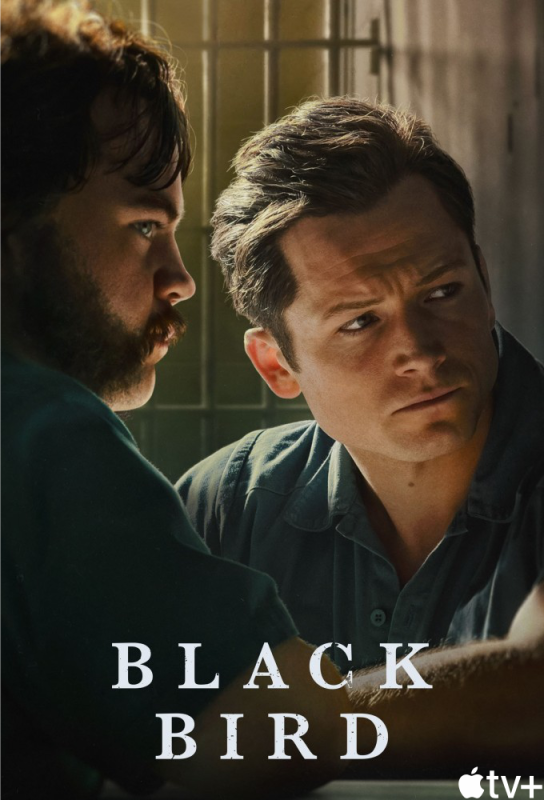 دانلود سریال Black Bird با زیرنویس فارسی چسبیده