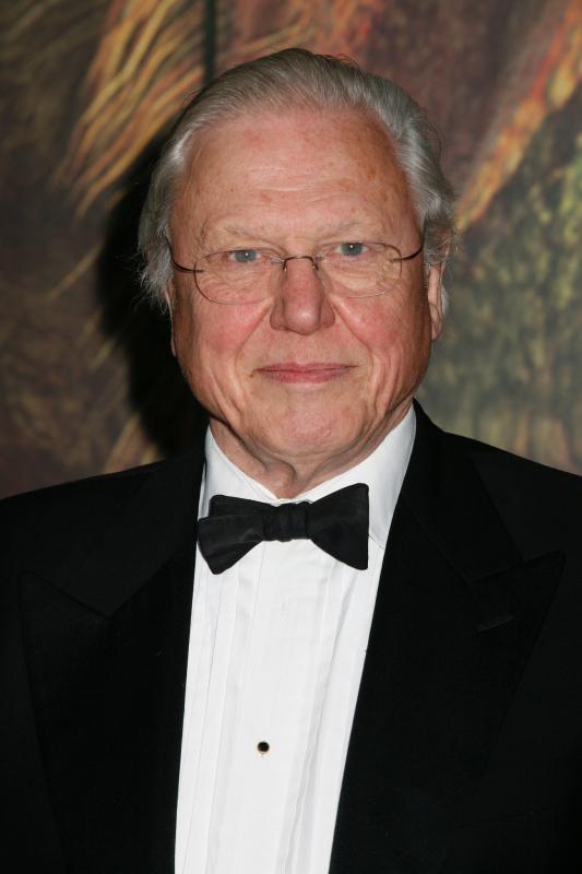 david attenborough